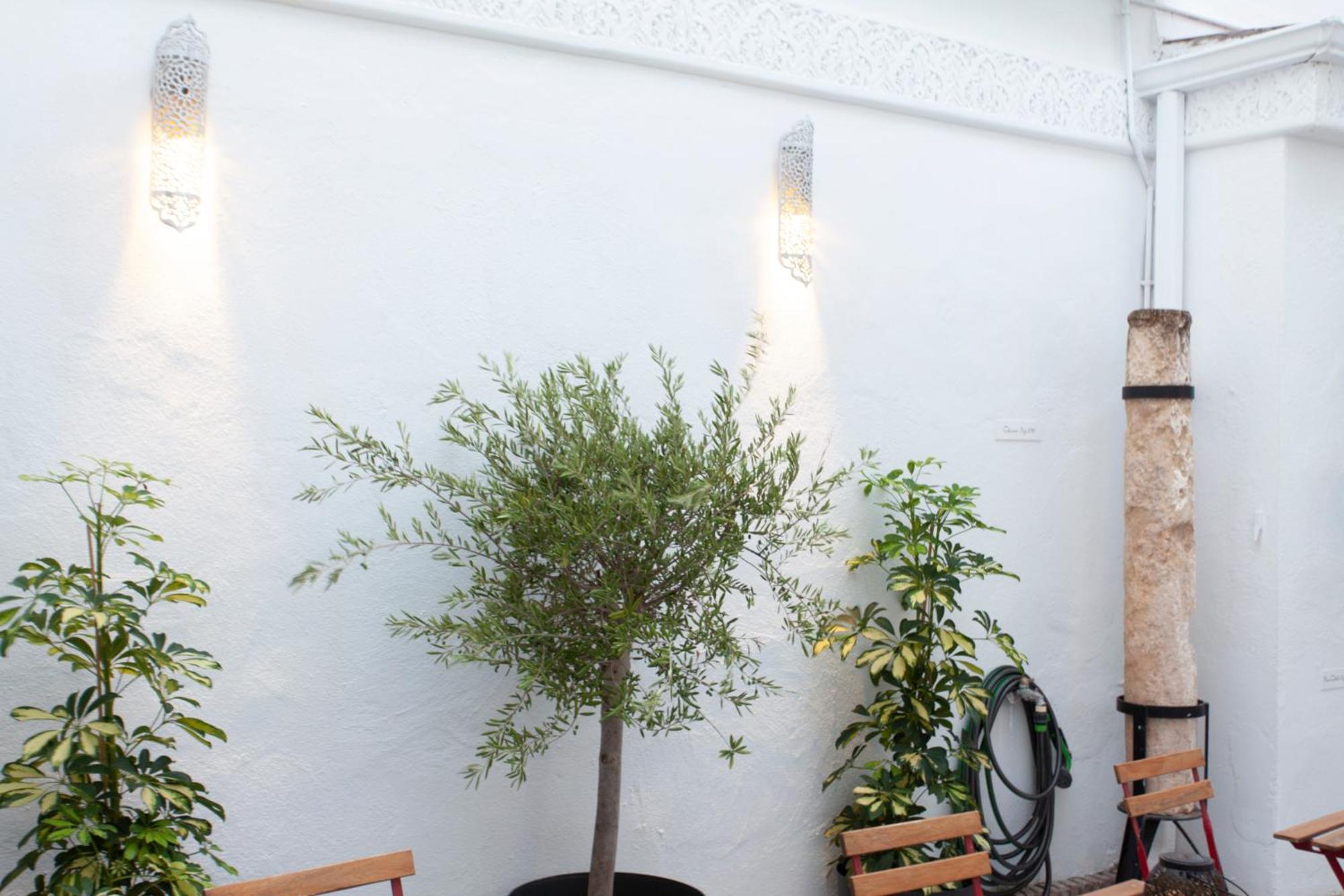 Altabib Riad Córdoba Buitenkant foto